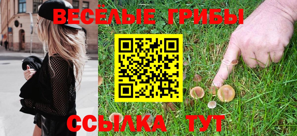 Галлюциногенные грибы MAGIC MUSHROOMS  Вход с VPN  Карталы  купить наркоту  Галлюциногенные грибы мицелий 